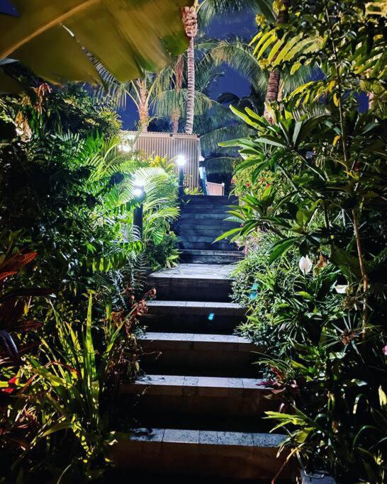 O Ruisseau Lodges - Lodge Cocotier แซ็งต์หลุยส์ ภายนอก รูปภาพ